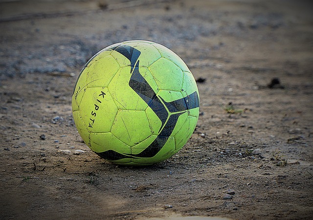 发挥其优势 发挥其优势