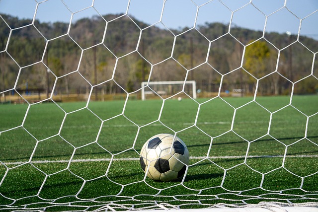 和消费者的 和消费者的