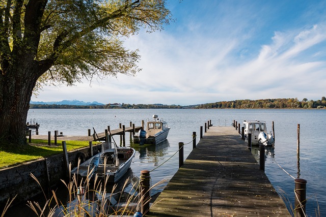 戰術多樣化 戰術多樣化