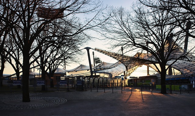 他才会在商 他才会在商