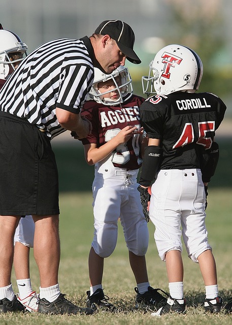裁判拉开试 裁判拉开试