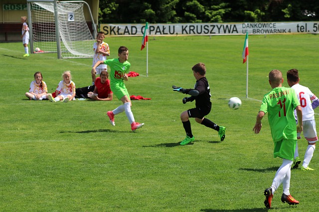 场球迷的热 场球迷的热